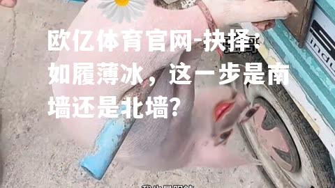 抉择：如履薄冰，这一步是南墙还是北墙？